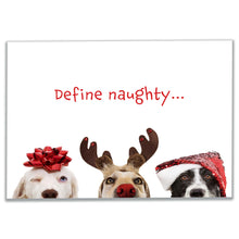 Load image into Gallery viewer, Front of the 'Define Naughty' Christmas card featuring three cute dogs in festive attire with playful text asking 'Define Naughty,' perfect for adding humor to holiday greetings.