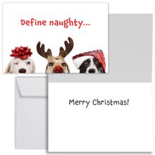 Load image into Gallery viewer, Christmas card with the words Define naughty... across the front in red font. There are three dogs pictured from the noses up donning Christmas accessories. The inside of the card reads, "Merry Christmas!" There is one 1 white envelope.