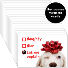 Load image into Gallery viewer, Funny Let Me Explain Naughty Dog Christmas Cards - White Labrador Retriever - Set of 20