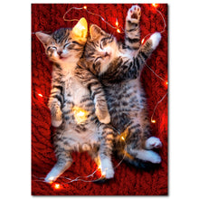 Load image into Gallery viewer, ✨FUNDRAISER!✨ Kittens in Lights Christmas Card for Pup & Cat Co.