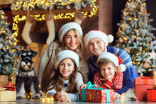 Load image into Gallery viewer, ✨FUNDRAISER!✨ It’s the Most Wonderful Time of the Year Christmas Card for Schnauzer Love Rescue, Inc. *** ON BACKORDER *** Ships in approximately 10 days ***