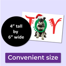 Load image into Gallery viewer, A white Christmas card with a schnauzer dog on the front with the word JOY. The J and Y are red, and the O is green and wrapped around the dog's neck. The card is a convenient size at 4" tall by 6" wide.