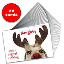 Load image into Gallery viewer, A fan display of the 20-pack of dog-themed Christmas cards, showing the design.