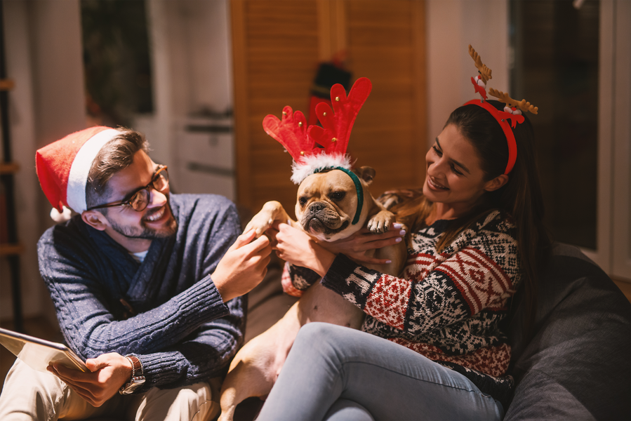 Tales from the Tails: Dogs Who Landed on Santa's Naughty List