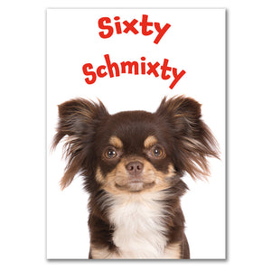 A birthday card featuring a cute long-haired chihuahua with the playful phrase 'Sixty Schmixty' in bold red letters, designed for someone turning 60.