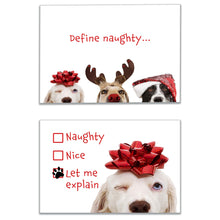 Load image into Gallery viewer, Boxed set of funny Naughty Dog Christmas cards featuring two playful designs – &#39;Define Naughty&#39; and &#39;Let Me Explain&#39; – with festive dog illustrations, perfect for spreading holiday cheer.
