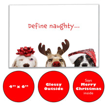 Load image into Gallery viewer, Front of the &#39;Define Naughty&#39; Christmas card featuring three cute dogs in festive attire with playful text &#39;Define Naughty.&#39; The card has a glossy finish on the exterior, measures 6&quot; x 4&quot;, and comes with a preprinted &#39;Merry Christmas&#39; message inside, perfect for spreading holiday cheer with humor.
