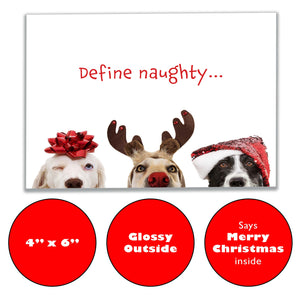 Front of the 'Define Naughty' Christmas card featuring three cute dogs in festive attire with playful text 'Define Naughty.' The card has a glossy finish on the exterior, measures 6" x 4", and comes with a preprinted 'Merry Christmas' message inside, perfect for spreading holiday cheer with humor.