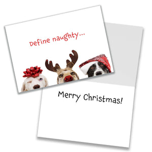 Three adorable dogs, one with a red bow on its head, one with reindeer antlers and a red nose, and one with a sparkly Santa hat on the front of a glossy greeting card that says, "Define naughty..." on the front and "Merry Christmas!" inside, perfect for animal lovers