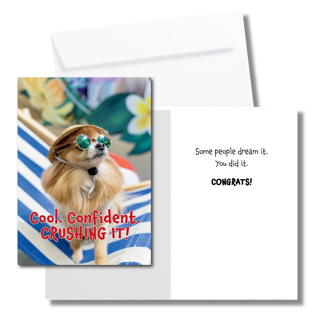 A congratulations greeting card. The front has a small chihuahua dog wearing sunglasses and text that reads, 