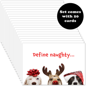 Christmas card with the words Define naughty... across the front in red font. A call out explains the sets comes with 20 cards.