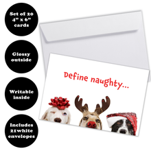 Load image into Gallery viewer, Christmas card with the words Define naughty... across the front in red font. There are four call outs that explain that it&#39;s a set of 20 4&quot;x6&quot; cards, glossy outside, writable inside and includes 21 white envelopes. 
