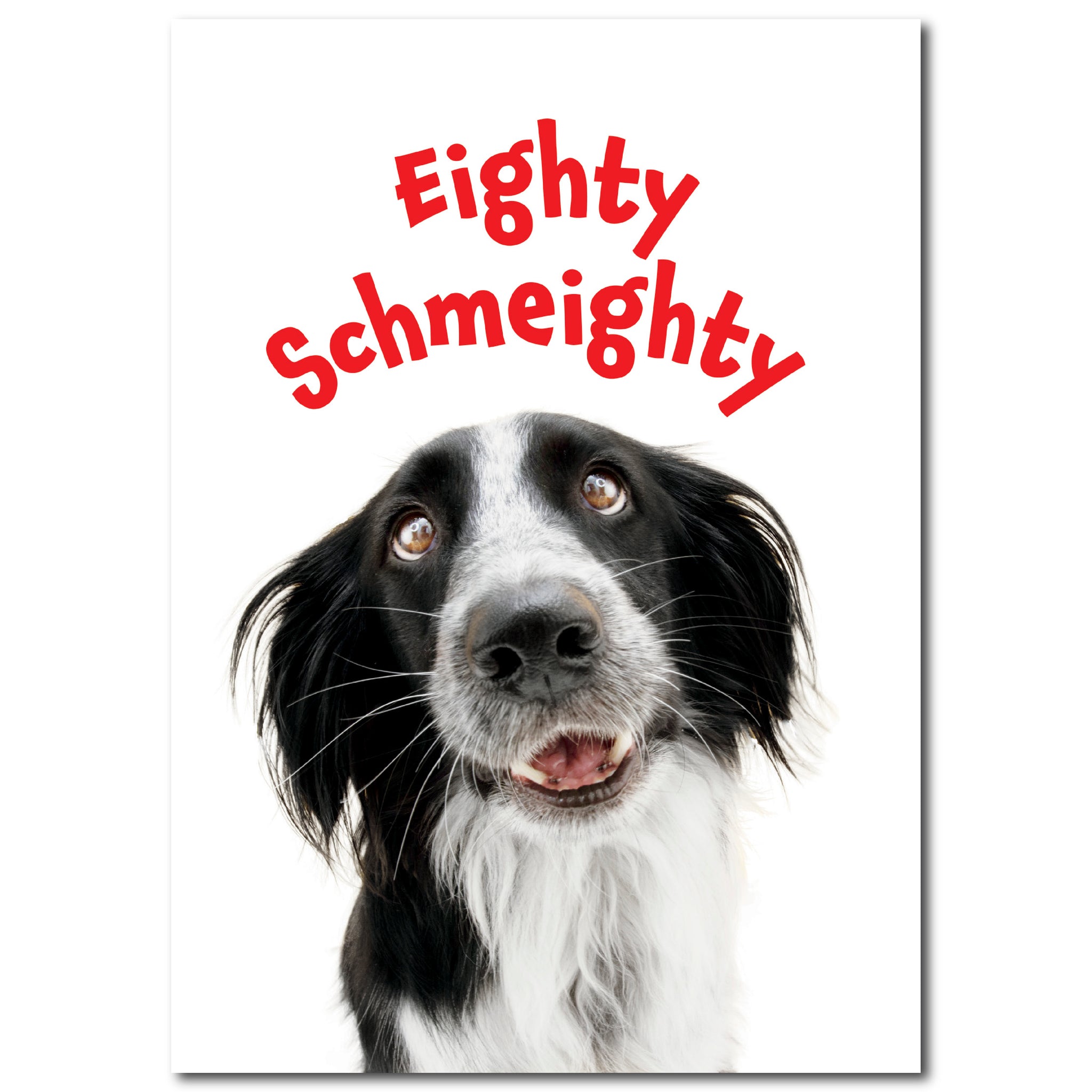 Party Dog' Personalised Birthday Card – Slinky Prints