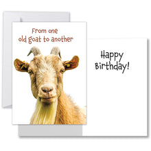 Load image into Gallery viewer, Front view of &quot;From one old goat to another&quot; birthday card with a goat image and humorous text. Inside says &quot;Happy Birthday!&quot; Comes with one white envelope.
