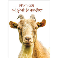 Load image into Gallery viewer, Front cover of the birthday card featuring a goat and the humorous text &quot;From one old goat to another.&quot;
