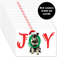 Load image into Gallery viewer, The front of 20 Christmas card with the word JOY across the front with a schnauzer dog  putting his head through the O in JOY. The J and Y are in red font and the O is in green. Each letter has some decorative dots.  A call out explains that the set comes with 20 cards.
