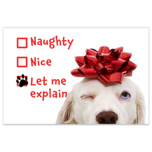 Load image into Gallery viewer, Funny Naughty Dog Christmas Cards - White Labrador Retriever - Set of 20
