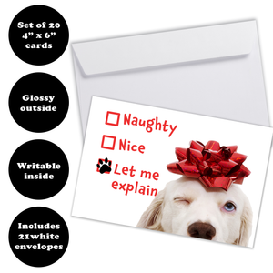 Funny Naughty Dog Christmas Cards - White Labrador Retriever - Set of 20