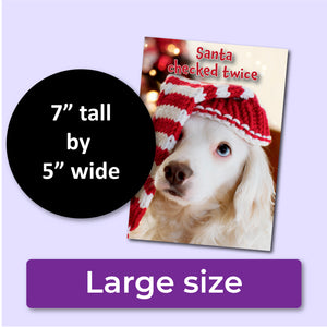 Funny Dog Christmas Card – “Santa Checked Twice”