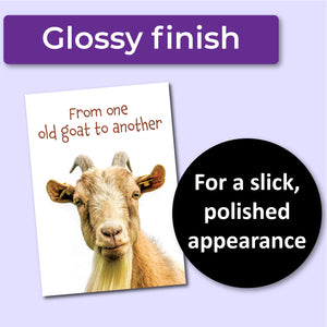 From One Old Goat to Another Birthday Card