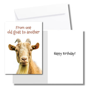From One Old Goat to Another Birthday Card