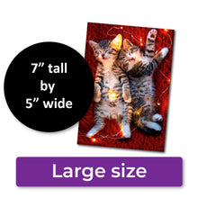 Load image into Gallery viewer, ✨FUNDRAISER!✨ Kittens in Lights Christmas Card for Pup &amp; Cat Co.
