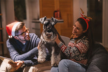 Load image into Gallery viewer, ✨FUNDRAISER!✨ It’s the Most Wonderful Time of the Year Christmas Card for Schnauzer Love Rescue, Inc. *** ON BACKORDER *** Ships in approximately 10 days ***
