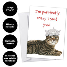 Load image into Gallery viewer, Front of punny cat card showing 5”x7” size, glossy front, smooth writable interior, and one white envelope.
