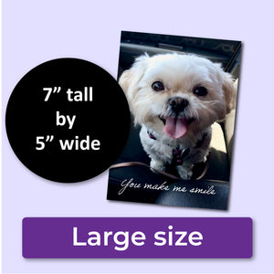 You Make Me Smile Card, Shih Tzu Dog Greeting Card