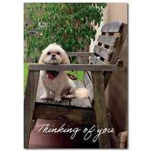 Load image into Gallery viewer, Thinking of You Card with Adorable Shih Tzu
