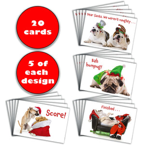 Christmas Cards with Naughty Dogs - 4 Designs, 5 Each - Set of 20