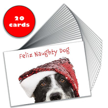 Load image into Gallery viewer, Set of 20 Christmas cards featuring a humorous Border Collie in a sparkly Santa hat, perfect for holiday greetings.
