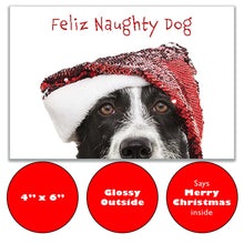 Load image into Gallery viewer, Front of &quot;Feliz Naughty Dog&quot; Christmas card, glossy 4&quot;x6&quot; exterior, says &quot;Merry Christmas&quot; inside.
