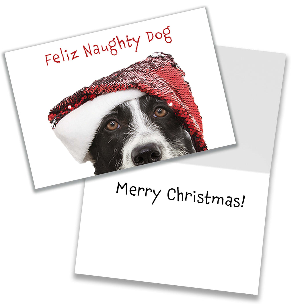 Feliz Naughty Dog Christmas card with a Border Collie wearing a sparkly Santa hat, inside message says 