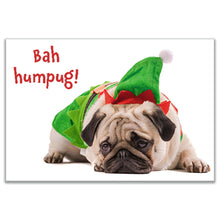 Load image into Gallery viewer, Front of &#39;Bah Humpug!&#39; Christmas card showing a grumpy pug in a festive outfit with the humorous message &#39;Bah Humpug!&#39;
