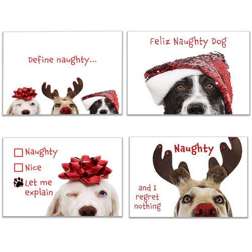 Funny Naughty Dog Christmas Cards in four festive designs