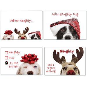 Funny Naughty Dog Christmas Cards in four festive designs