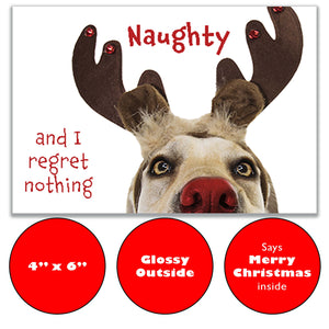 Image showcasing the 4"x6" card, glossy front, and preprinted message inside that says "Merry Christmas!"