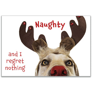 Close-up of the card’s front with a dog in antlers and the "Naughty and I regret nothing" message.