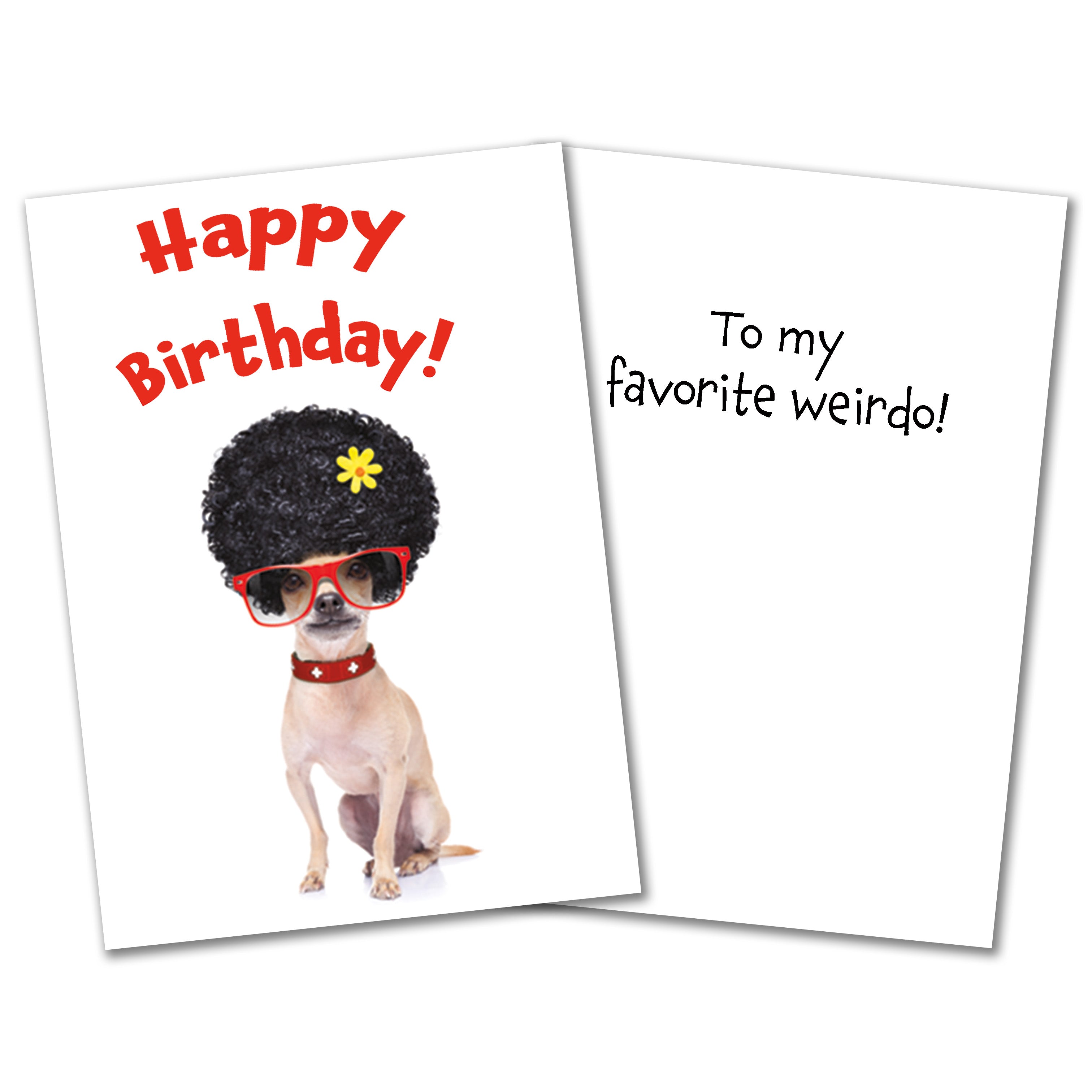 The Avanti Funny Birthday Card For Men/Women From The Avanti Range - Dog Wearing Sunglasses, Coffee, Shadows, Cold - Greeting Card For Him/Her (GBCC- AVEDH0017 - View #12