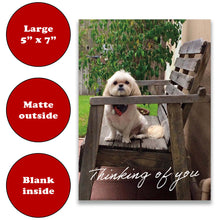 Load image into Gallery viewer, Thinking of You Card with Adorable Shih Tzu
